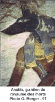 Anubis (2).gif